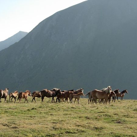 Casa Rural Era De Ferro أريابال المظهر الخارجي الصورة